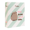 ALBUM PUSHEEN NA ZDJĘCIA WSUWANE 10x15 DLA DZIECKA FOTOGRAFICZNY 100 ZDJĘĆ