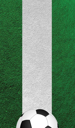 Nexgen Skins with 3D effect for Samsung Galaxy S3 (Soccer Field 3D)