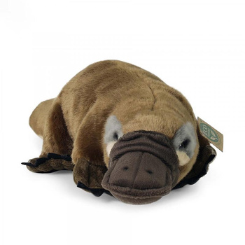 AUSTRALIAN FLEXION MASCOT, Realistic Plush, Soft ECO 30