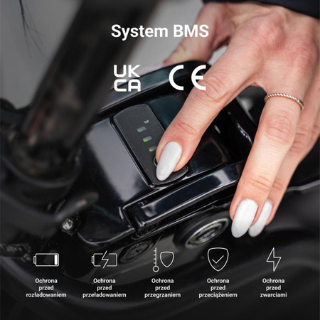 Green Cell - GC Silverfish Akku für E-Bike mit Ladegerät 36V 11.6Ah 417Wh Li-Ion XLR 3 PIN