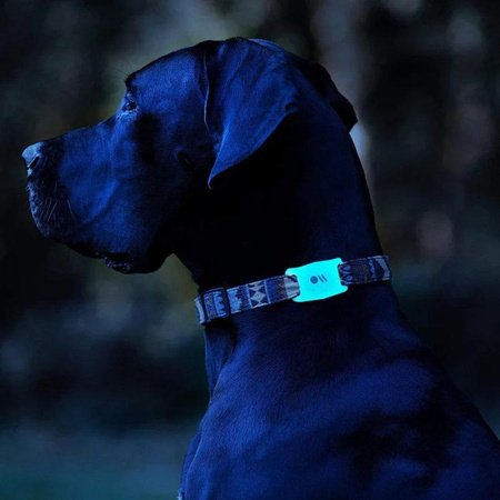 Case-Mate Dog Collar Mount - Case with collar mount for Apple AirTag (glow-in-the-dark)