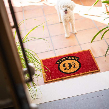 Harry Potter - Lábtörlő platformon 9 3/4 (40 x 60 cm)