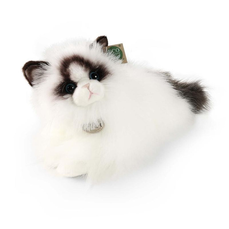 Rappa - Plüss realisztikus kabala Ragdoll macska fekvő 35 cm Környezetbarát