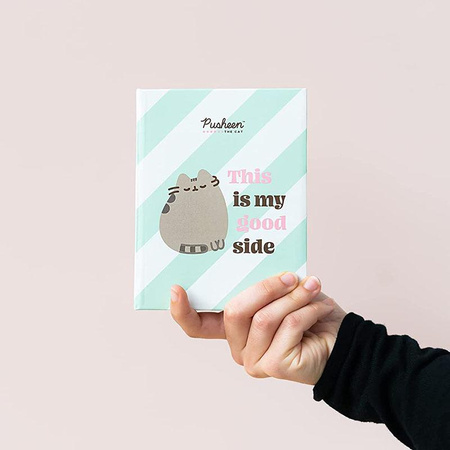 ALBUM PUSHEEN NA ZDJĘCIA WSUWANE 10x15 DLA DZIECKA FOTOGRAFICZNY 100 ZDJĘĆ