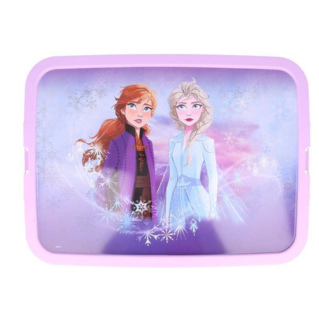 Disney Frozen 2 - 23 L conteneur à jouets / organisateur