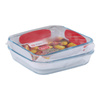 Alpina - Set of glass ovenproof dishes (2 pieces)