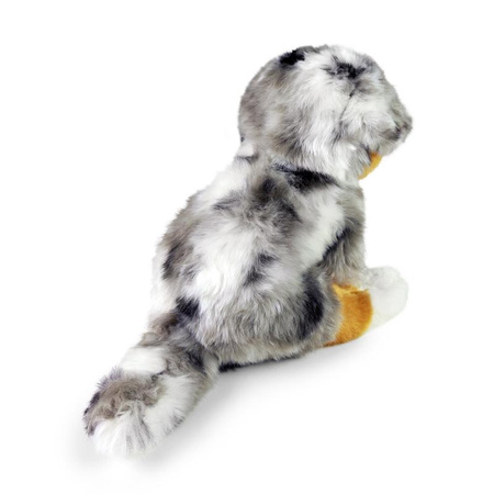 Rappa - Plyšový realistický maskot australský ovčák sedící 30 cm Ekologicky šetrný