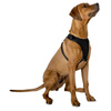 Harnais pour chien / harnais 67,6 x 106,5 cm roz. L (noir)