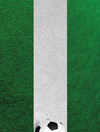 Nexgen Skins - iPad 2/3/4 3D hatású tok skin szett (Soccer Field 3D)