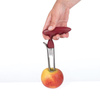 Alpina - Stainless steel apple/fruit dribbler