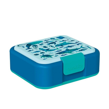 Quokka Twist Kids - Doppelwandiger Essensbehälter / Lunchbox (Meerestiere)