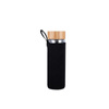 GLASS WATER BOTTLE WITH BPA FREE FILTER, for Tea, Case, Alpina, 450ml