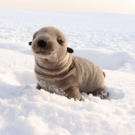 MASKOTKA PLUSZOWA FOKA SZARA REALISTYCZNA 30cm RAPPA ECO FOCZKA DLA DZIECKA