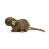 MASKOTKA PLUSZOWA NUTRIA REALISTYCZNA 27cm RAPPA BÓBR JAK ŻYWY ECO PLUSZAK