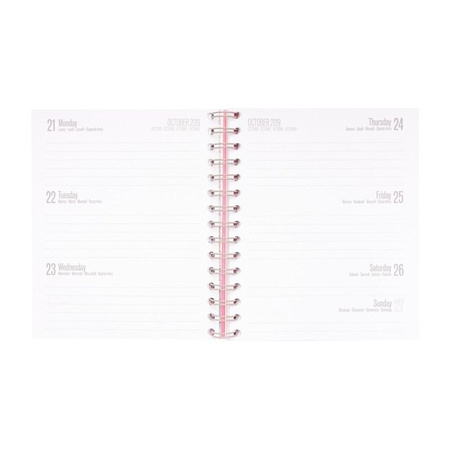 Pusheen - Planner 2019/2020 rok (15,5 x 19 cm)