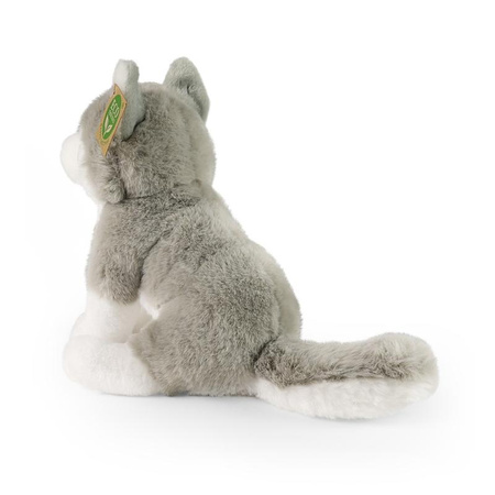 MASKOTKA PLUSZOWA PIES HUSKY REALISTYCZNY 23 cm RAPPA ECO HASKI DLA DZIECKA