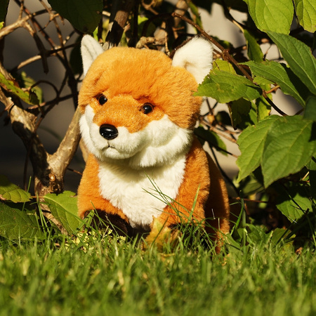Rappa - Plush realistic mascot Fox sitting 23 cm Eco-Friendly Soft Collection