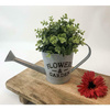 Lifetime Garden - Cache-pot en forme d'arrosoir