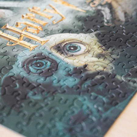 Harry Potter - Puzzles 500 éléments dans une boîte décorative (Harry Potter et la Chambre des Secrets)