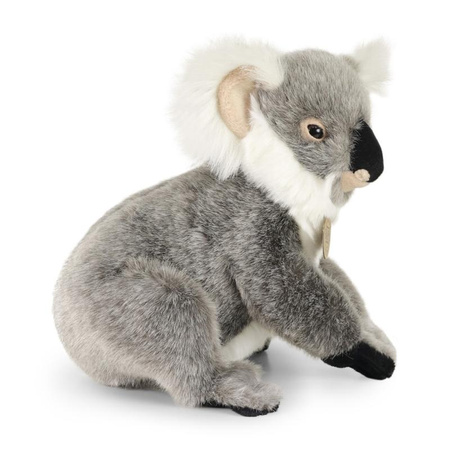 MASKOTKA PLUSZOWA MIŚ KOALA REALISTYCZNY 25cm RAPPA ECO PLUSZAK DLA DZIECKA