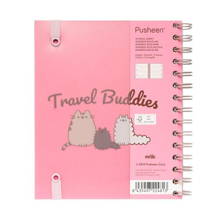 Pusheen - Planner 2019/2020 (15,5 x 19 cm)