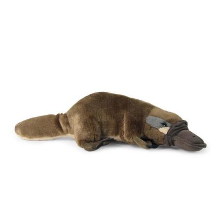 MASKOTKA PLUSZOWA DZIOBAK AUSTRALIJSKI REALISTYCZNY 30cm RAPPA ECO JAK ŻYWY