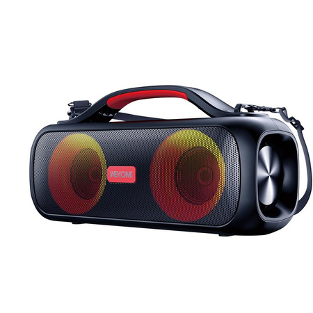 WEKOME D38 Yinla Series - Tragbarer drahtloser Bluetooth-Lautsprecher V5.0 30W RGB LED (Schwarz)