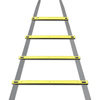 Dunlop - Coordination ladder