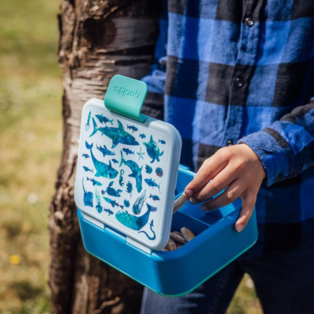 Quokka Twist Kids - Doppelwandige Lebensmittelbox/Lunchbox (Meerestiere)