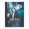 Harry Potter - Puzzles 500 Elemente in einer dekorativen Box (Harry Potter und der Gefangene von Askaban)