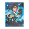 Harry Potter - Puzzles 500 éléments dans une boîte décorative (Harry Potter et la pierre philosophale)