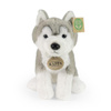 MASKOTKA PLUSZOWA PIES HUSKY REALISTYCZNY 23 cm RAPPA ECO HASKI DLA DZIECKA