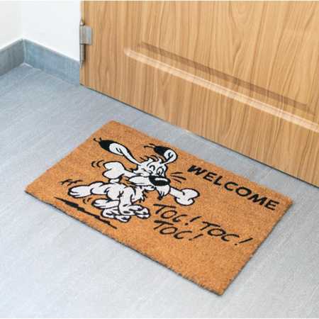 WYCIERACZKA POD DRZWI WEWNĘTRZNA, Kokosowa, z Napisem Welcome, Asterix 40x60