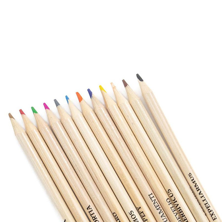 Harry Potter - Set de crayons de couleur en tube 12 pcs. avec taille-crayon (Poudlard)