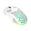 Trust GXT 929W Helox - Wireless optical mouse for gamers 4800 DPI & RGB (White)