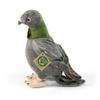 PUSH MASCOTA GOOGLE, Realistic Bird, Pigeon like the Real One, ECO 23cm