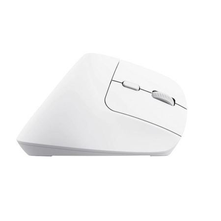 Trust Bayo+ - Souris ergonomique sans fil (blanc)