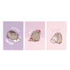 Pusheen - Set of A5 Notebooks from the Moments Collection (3 pcs.)