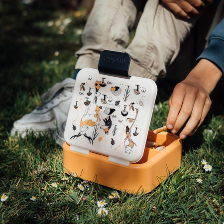 ŚNIADANIÓWKA Z PRZEGRÓDKAMI DO SZKOŁY, Lunchbox dla Dzieci, BPA Free