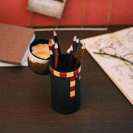 Harry Potter - 3D Harry Tube Pencil Case